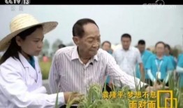 网友爆料袁隆平视频播放,网友热议农业科技发展
